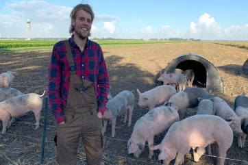 Аэропорт в Нидерландах «нанял на работу» свиней